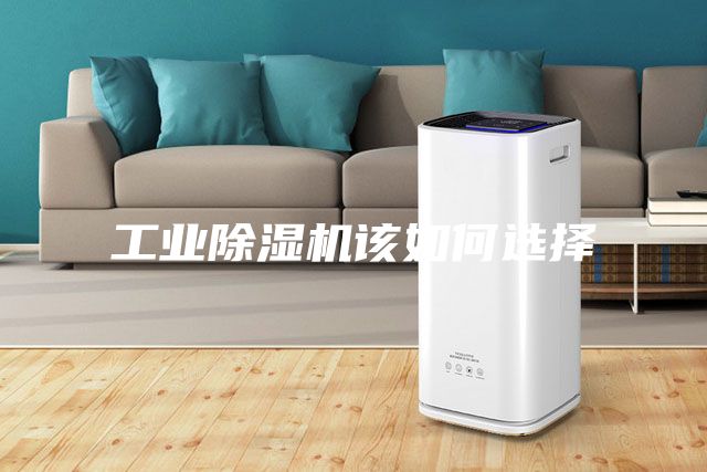 工業(yè)除濕機該如何選擇