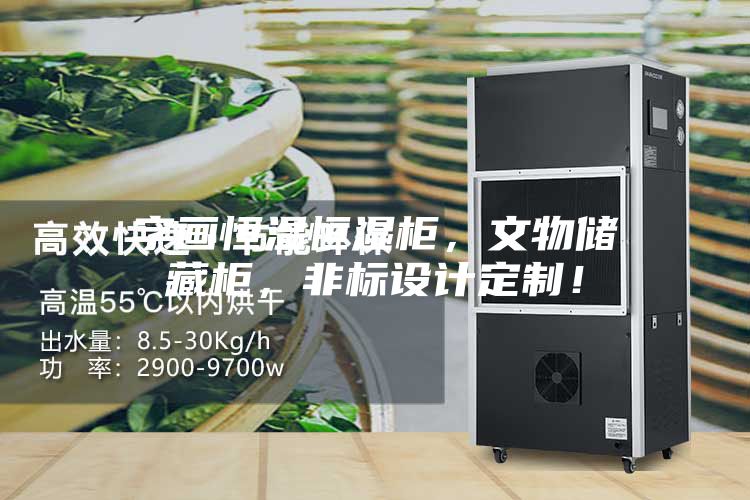字畫恒溫恒濕柜，文物儲藏柜，非標設計定制！