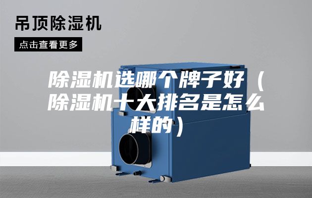 除濕機(jī)選哪個牌子好（除濕機(jī)十大排名是怎么樣的）