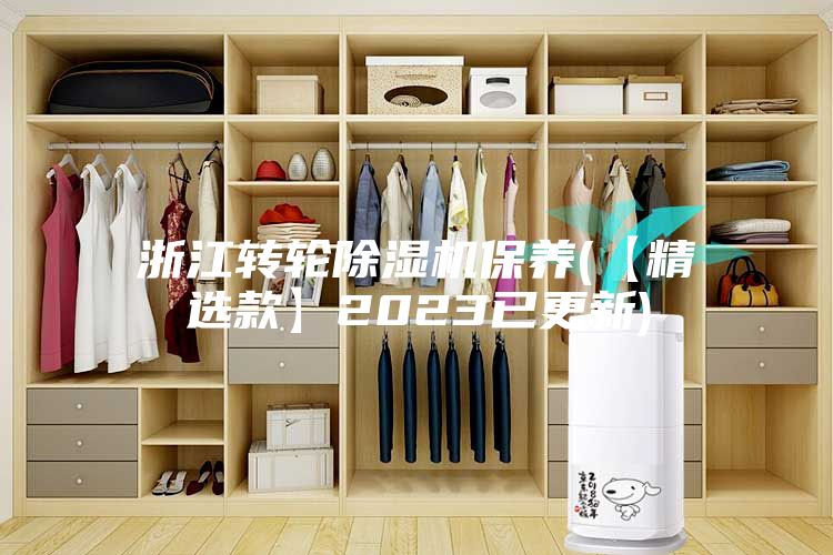浙江轉輪除濕機保養(yǎng)(【精選款】2023已更新)