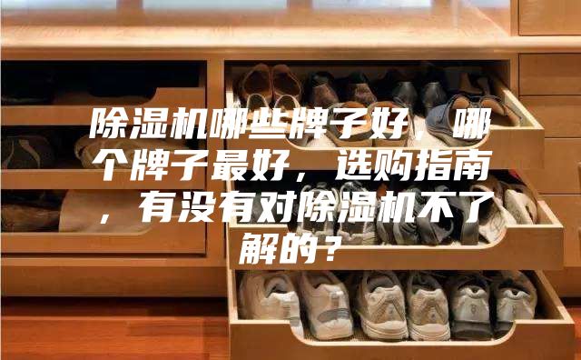 除濕機(jī)哪些牌子好，哪個牌子最好，選購指南，有沒有對除濕機(jī)不了解的？