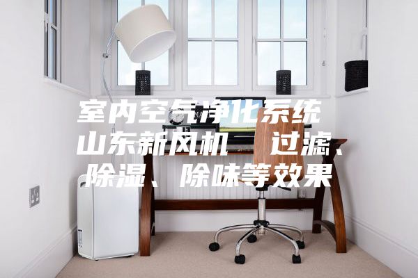 室內(nèi)空氣凈化系統(tǒng) 山東新風(fēng)機  過濾、除濕、除味等效果