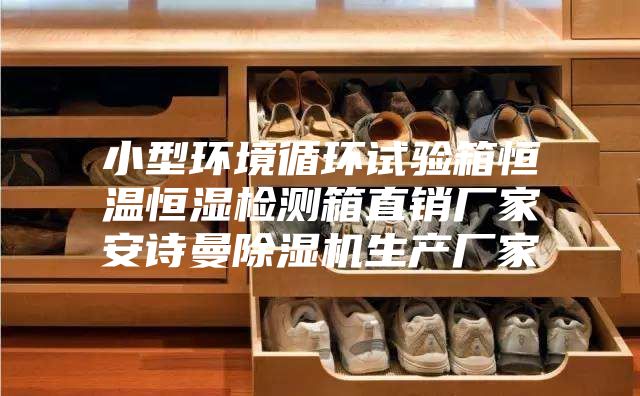 小型環(huán)境循環(huán)試驗(yàn)箱恒溫恒濕檢測(cè)箱直銷(xiāo)廠家安詩(shī)曼除濕機(jī)生產(chǎn)廠家