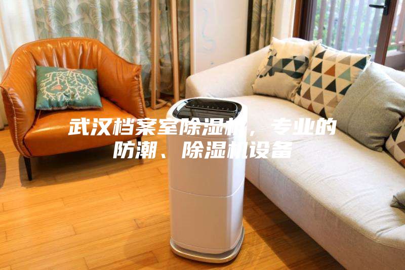 武漢檔案室除濕機(jī)，專業(yè)的防潮、除濕機(jī)設(shè)備