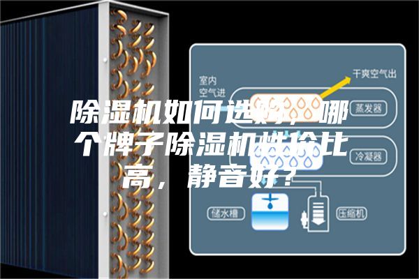 除濕機如何選購，哪個牌子除濕機性價比高，靜音好？