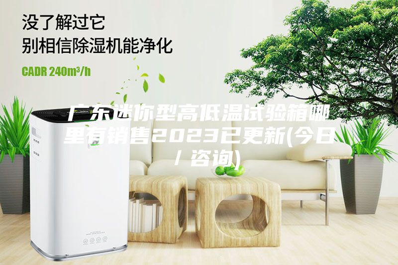 廣東迷你型高低溫試驗(yàn)箱哪里有銷售2023已更新(今日／咨詢)