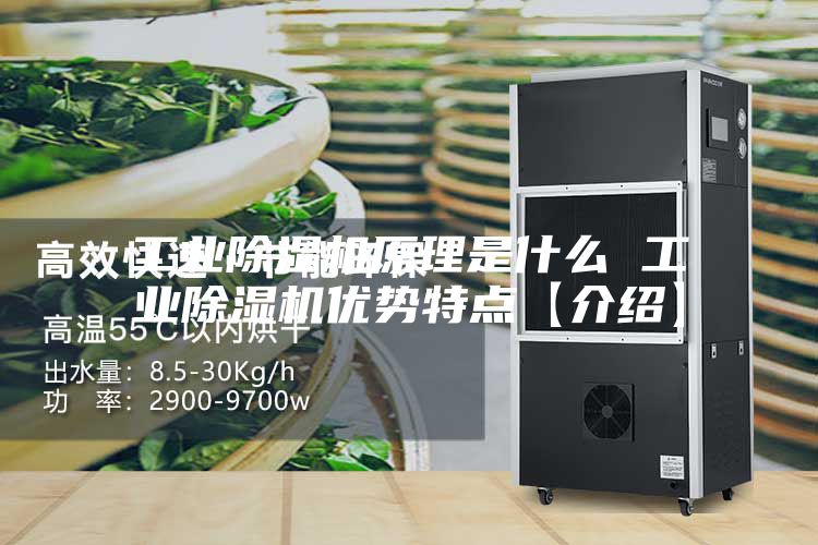 工業(yè)除濕機原理是什么 工業(yè)除濕機優(yōu)勢特點【介紹】