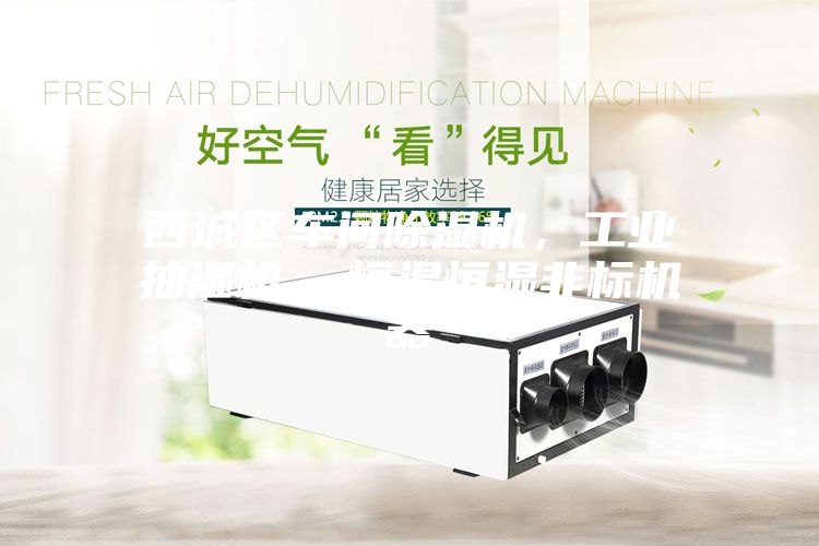 西城區(qū)車(chē)間除濕機(jī)，工業(yè)抽濕機(jī)  恒溫恒濕非標(biāo)機(jī)器