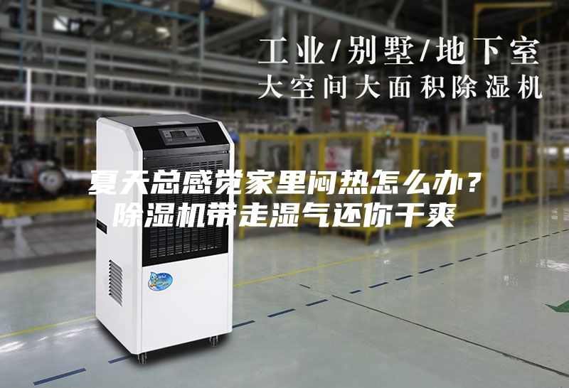 夏天總感覺家里悶熱怎么辦？除濕機(jī)帶走濕氣還你干爽