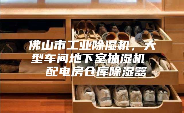 佛山市工業(yè)除濕機(jī)，大型車(chē)間地下室抽濕機(jī)  配電房倉(cāng)庫(kù)除濕器