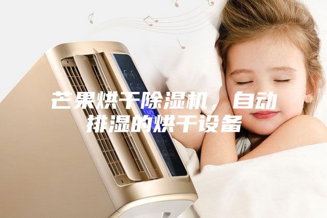芒果烘干除濕機，自動排濕的烘干設(shè)備