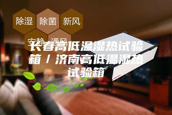 長春高低溫濕熱試驗(yàn)箱／濟(jì)南高低溫濕熱試驗(yàn)箱