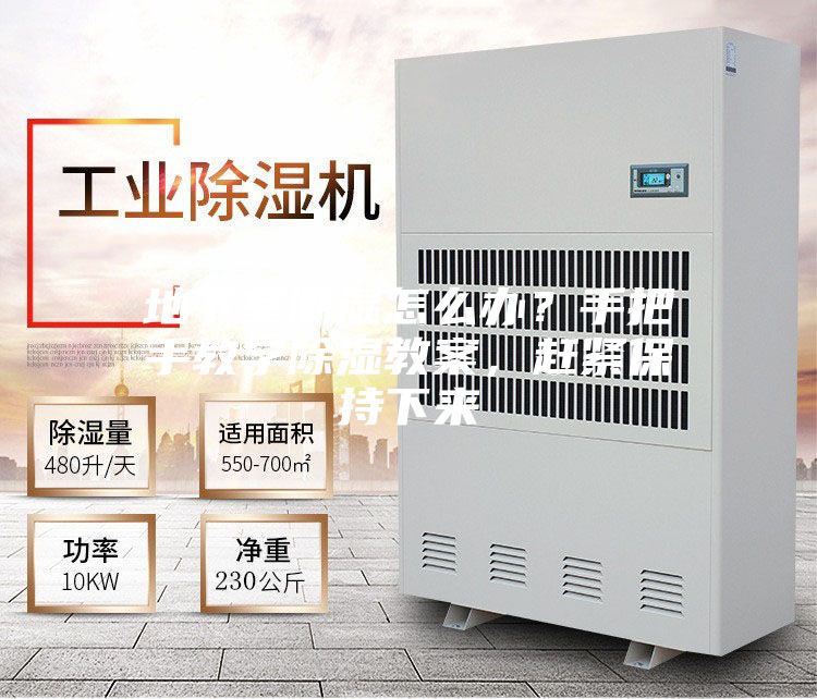 地下室潮濕怎么辦？手把手教學除濕教案，趕緊保持下來