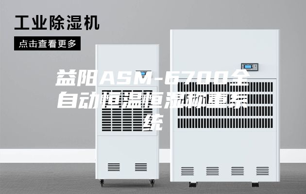 益陽ASM-6700全自動(dòng)恒溫恒濕稱重系統(tǒng)