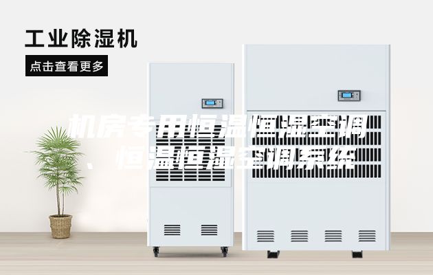 機(jī)房專用恒溫恒濕空調(diào)、恒溫恒濕空調(diào)系統(tǒng)