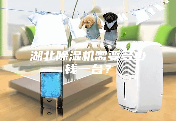 湖北除濕機需要多少錢一臺？