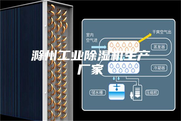 滁州工業(yè)除濕機生產廠家