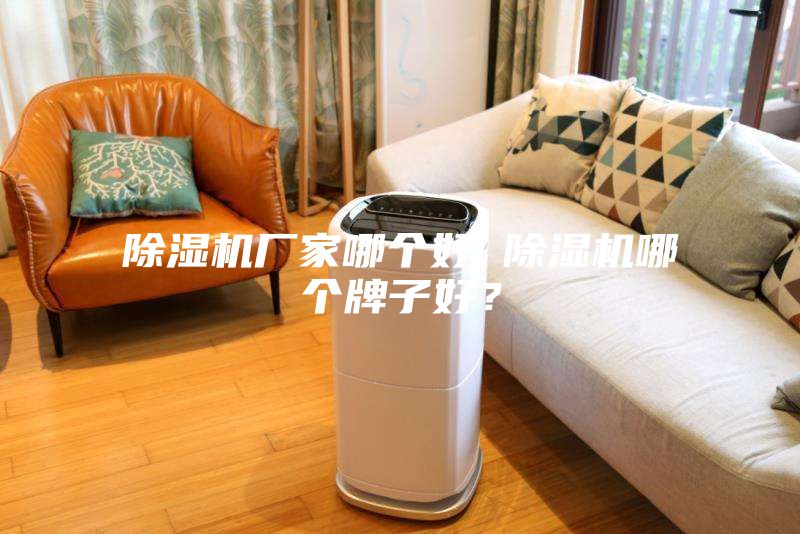 除濕機(jī)廠家哪個(gè)好 除濕機(jī)哪個(gè)牌子好？