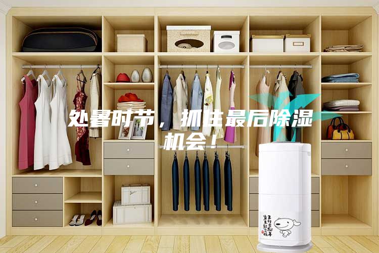 處暑時節(jié)，抓住最后除濕機會！