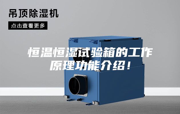 恒溫恒濕試驗箱的工作原理功能介紹！