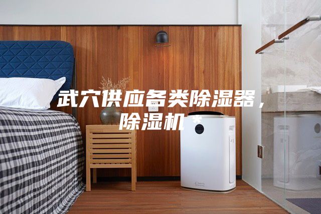 武穴供應(yīng)各類除濕器，除濕機(jī)＊