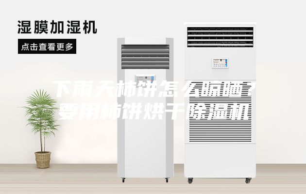 下雨天柿餅怎么晾曬？要用柿餅烘干除濕機(jī)