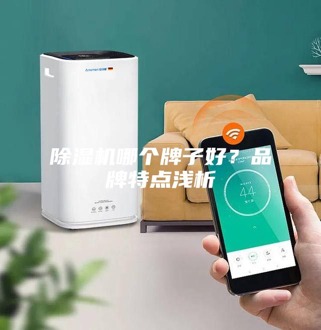 除濕機(jī)哪個牌子好？品牌特點淺析