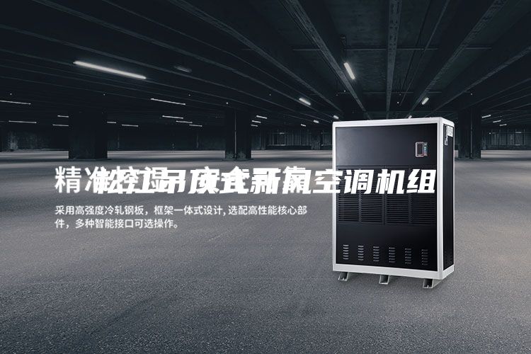 松江吊頂式新風空調(diào)機組