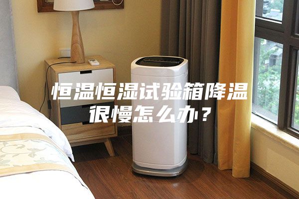 恒溫恒濕試驗(yàn)箱降溫很慢怎么辦？