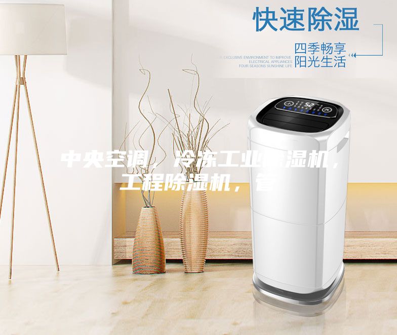中央空調(diào)，冷凍工業(yè)除濕機，工程除濕機，管
