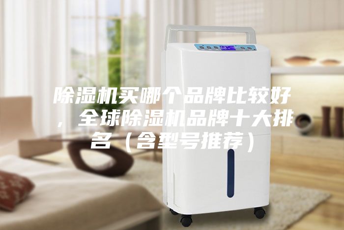 除濕機買哪個品牌比較好，全球除濕機品牌十大排名（含型號推薦）