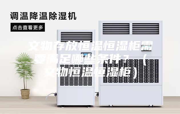 文物存放恒溫恒濕柜需要滿足哪些條件？（文物恒溫恒濕柜）