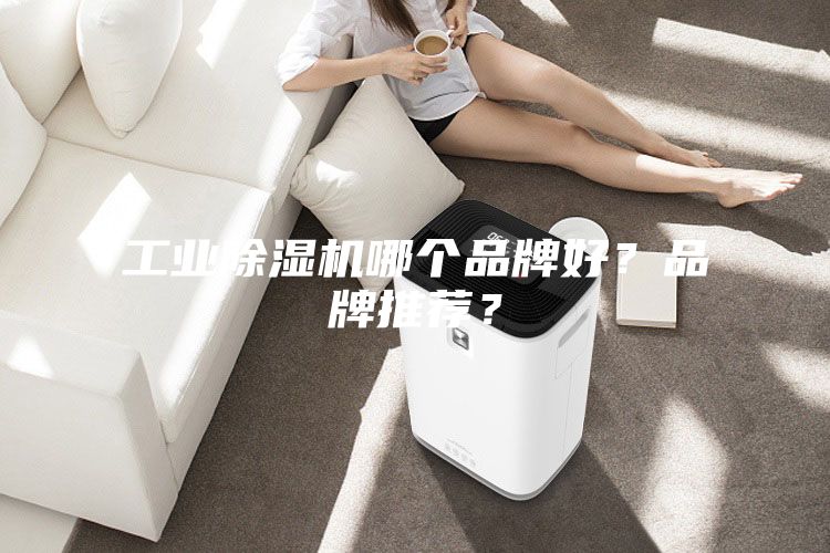 工業(yè)除濕機哪個品牌好？品牌推薦？