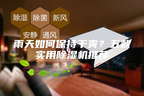雨天如何保持干爽？五款實(shí)用除濕機(jī)推薦