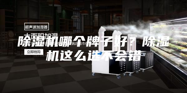 除濕機哪個牌子好？除濕機這么選不會錯