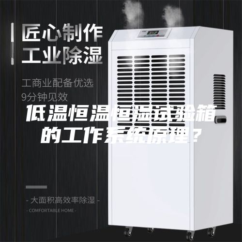 低溫恒溫恒濕試驗箱的工作系統(tǒng)原理？