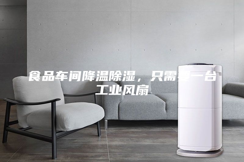 食品車間降溫除濕，只需要一臺(tái)工業(yè)風(fēng)扇