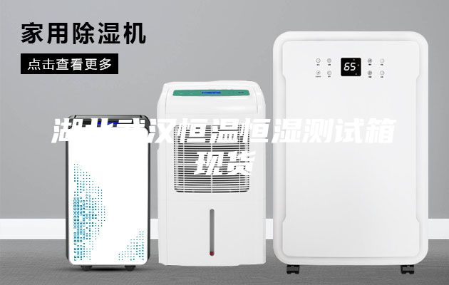 湖北武漢恒溫恒濕測(cè)試箱現(xiàn)貨