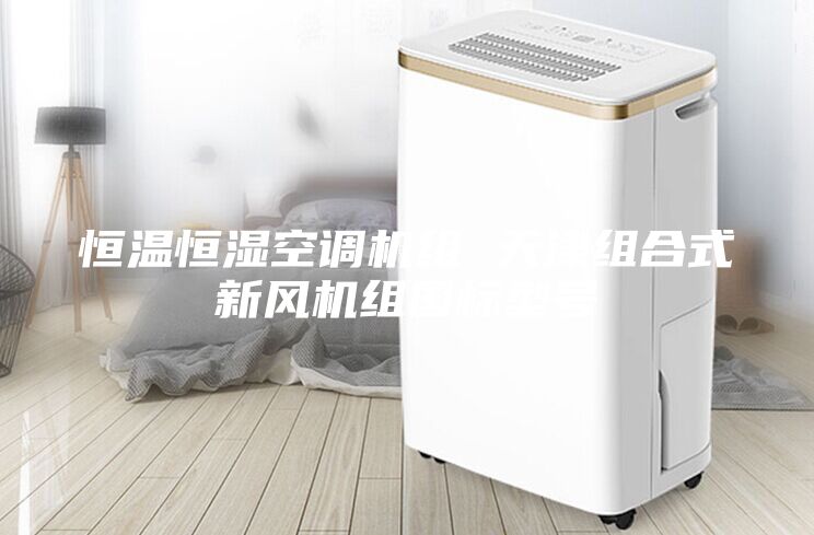 恒溫恒濕空調(diào)機組 天津組合式新風(fēng)機組國標(biāo)型號