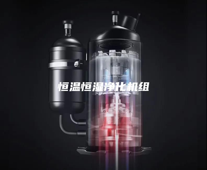 恒溫恒濕凈化機組