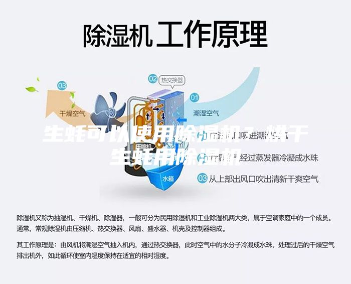 生蠔可以使用除濕機(jī)？烘干生蠔用除濕機(jī)