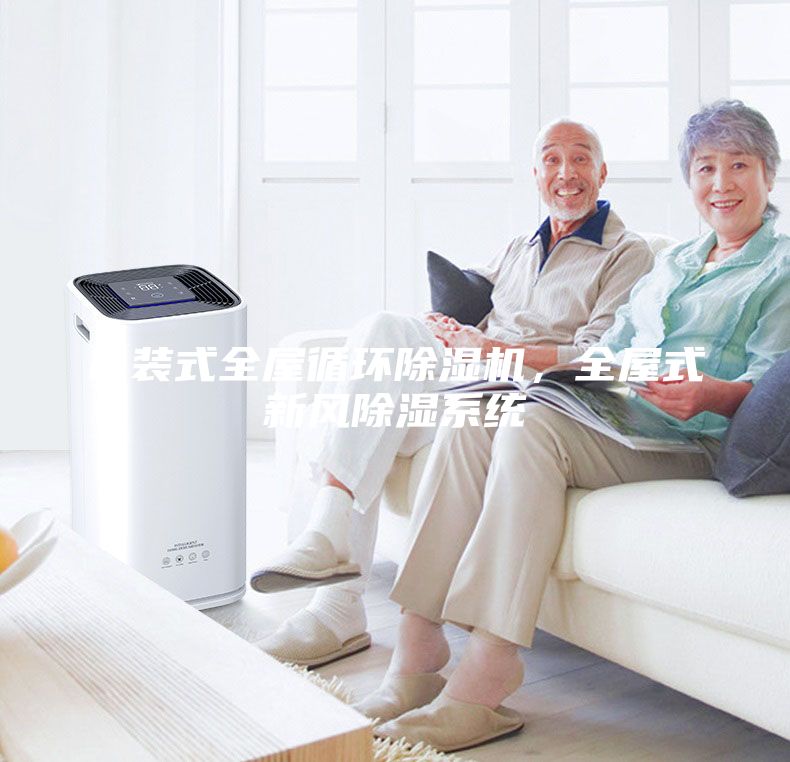 吊裝式全屋循環(huán)除濕機(jī)，全屋式新風(fēng)除濕系統(tǒng)