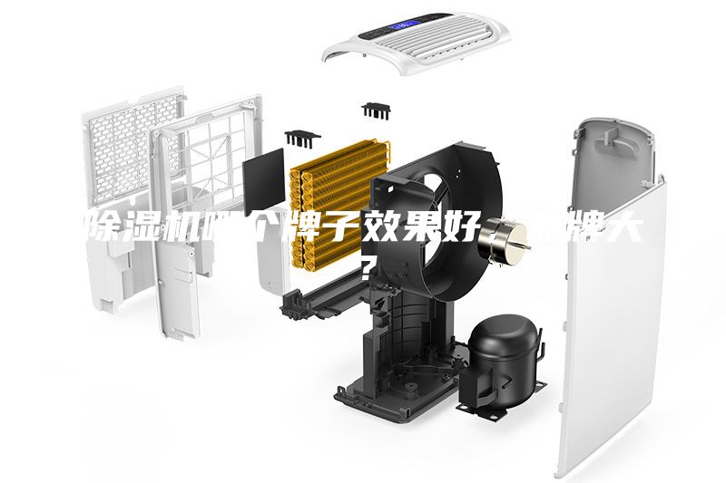 除濕機(jī)哪個(gè)牌子效果好，品牌大？