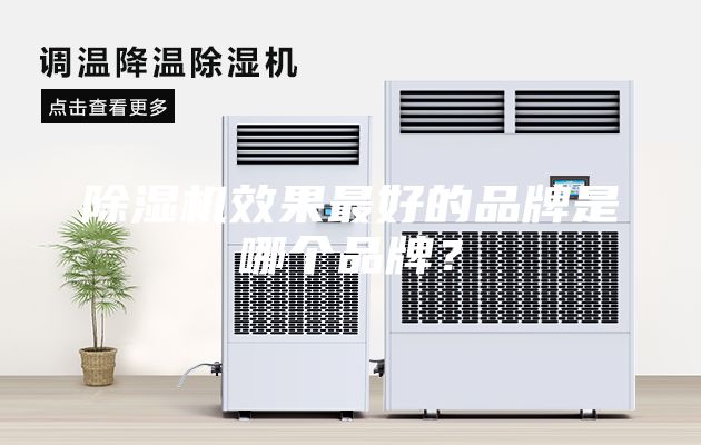 除濕機(jī)效果最好的品牌是哪個(gè)品牌？