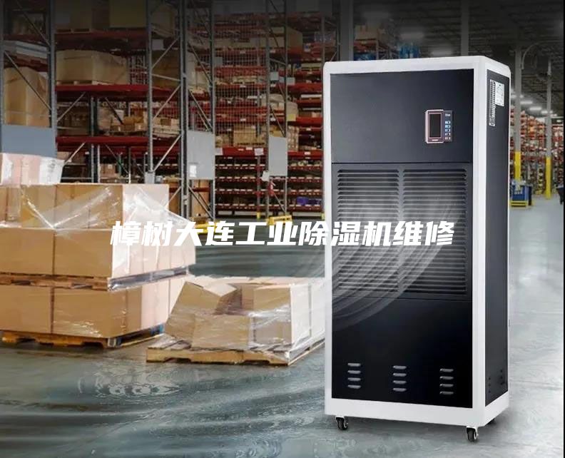 樟樹大連工業(yè)除濕機(jī)維修