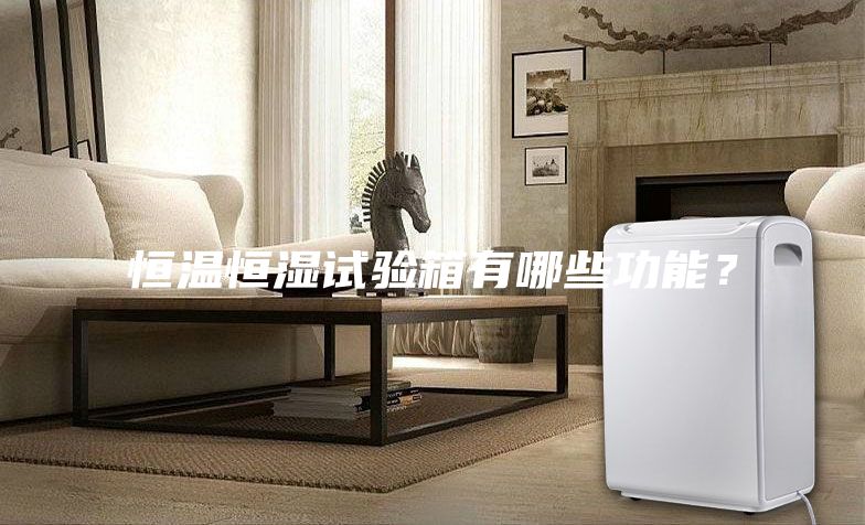 恒溫恒濕試驗箱有哪些功能？