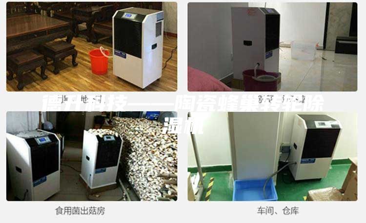 德升科技——陶瓷蜂巢轉(zhuǎn)輪除濕機(jī)