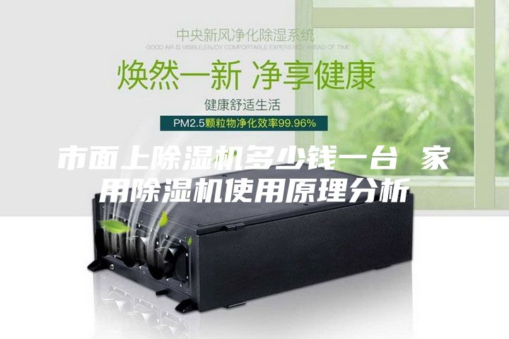 市面上除濕機(jī)多少錢一臺(tái) 家用除濕機(jī)使用原理分析