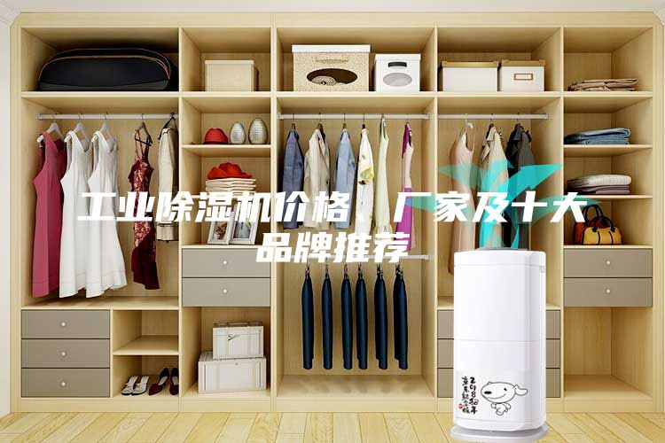 工業(yè)除濕機價格、廠家及十大品牌推薦