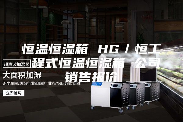 恒溫恒濕箱 HG／恒工 程式恒溫恒濕箱 公司銷售報(bào)價(jià)